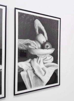 Le compotier II Aurélie Sicas_2
