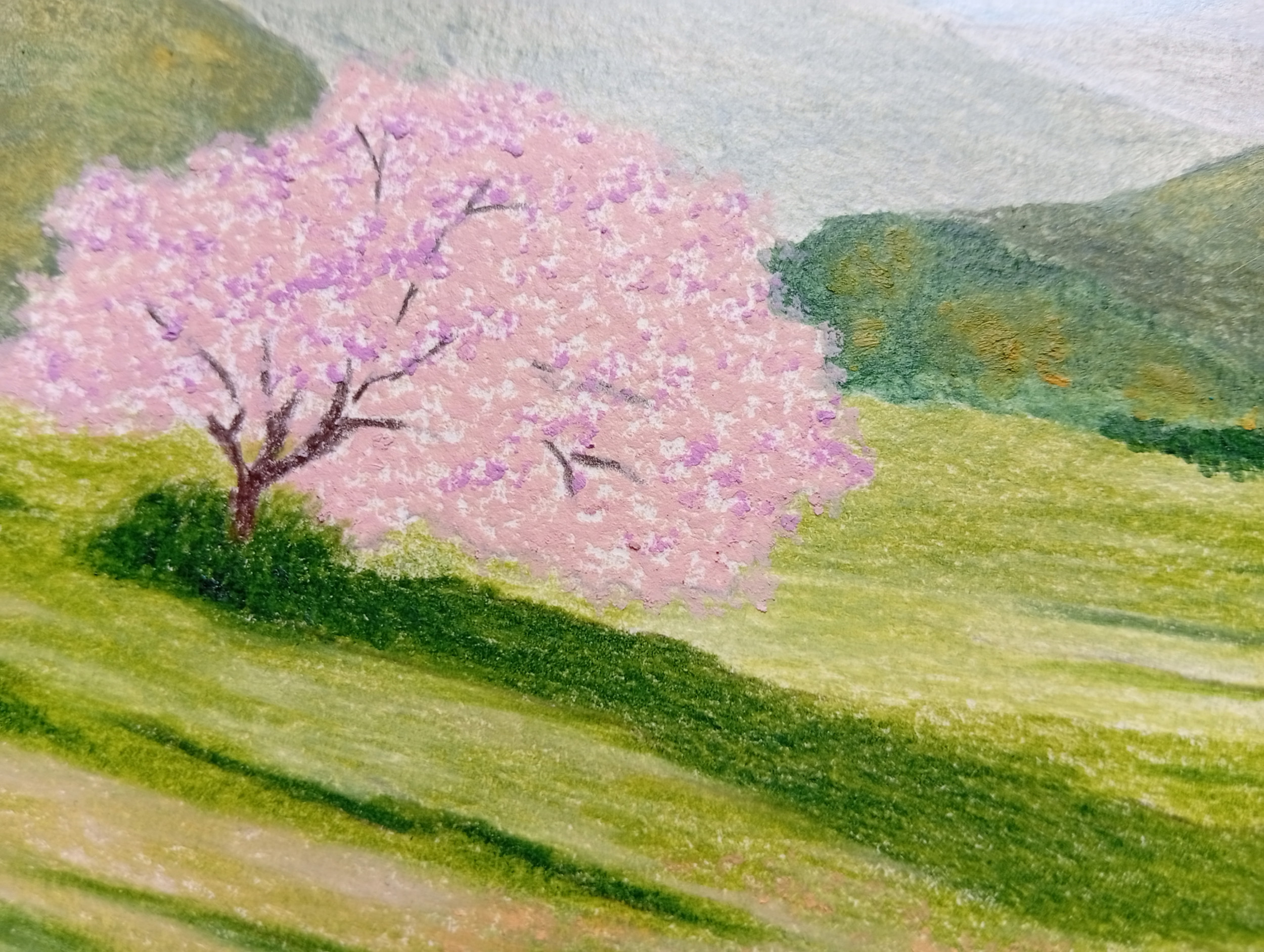 May Green Gabriel Riesnert_Dessin Crayons de couleur_A3_2026_6