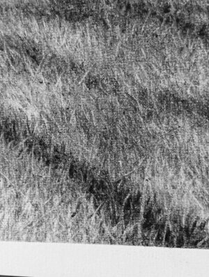 A l'ombre III Aurélie Sicas – Image 4