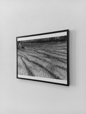 A l'ombre III Aurélie Sicas_Fusain sur papier_30x24cm_2024_4