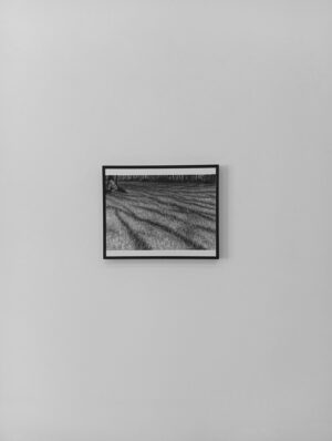 A l'ombre III Aurélie Sicas – Image 5